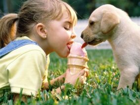 girl eats ice cream with a dog and becomes infected with parasites